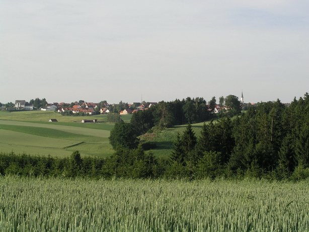 wolfersdorf10.jpg