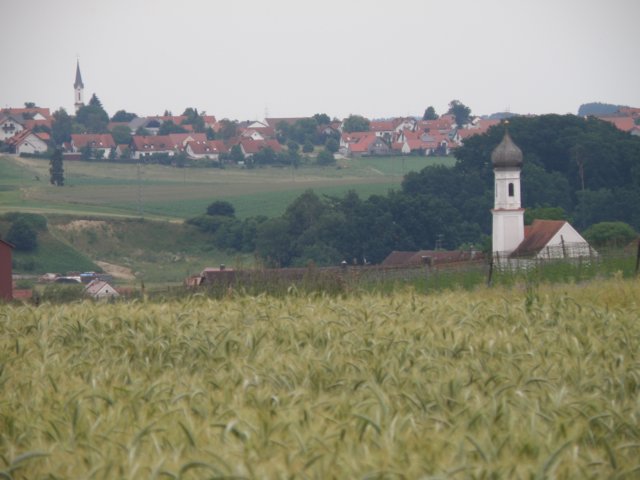 wolfersdorf5.jpg