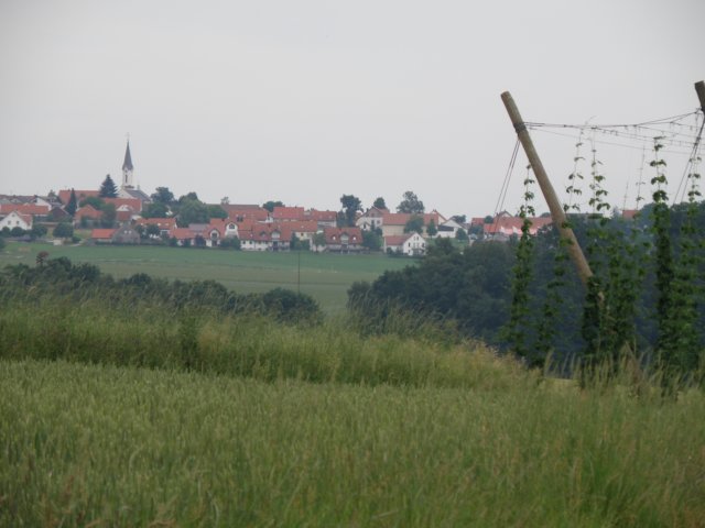 wolfersdorf6.jpg